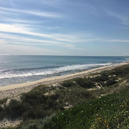 הוסטל פרת'' Ocean Beach Backpackers מראה חיצוני תמונה